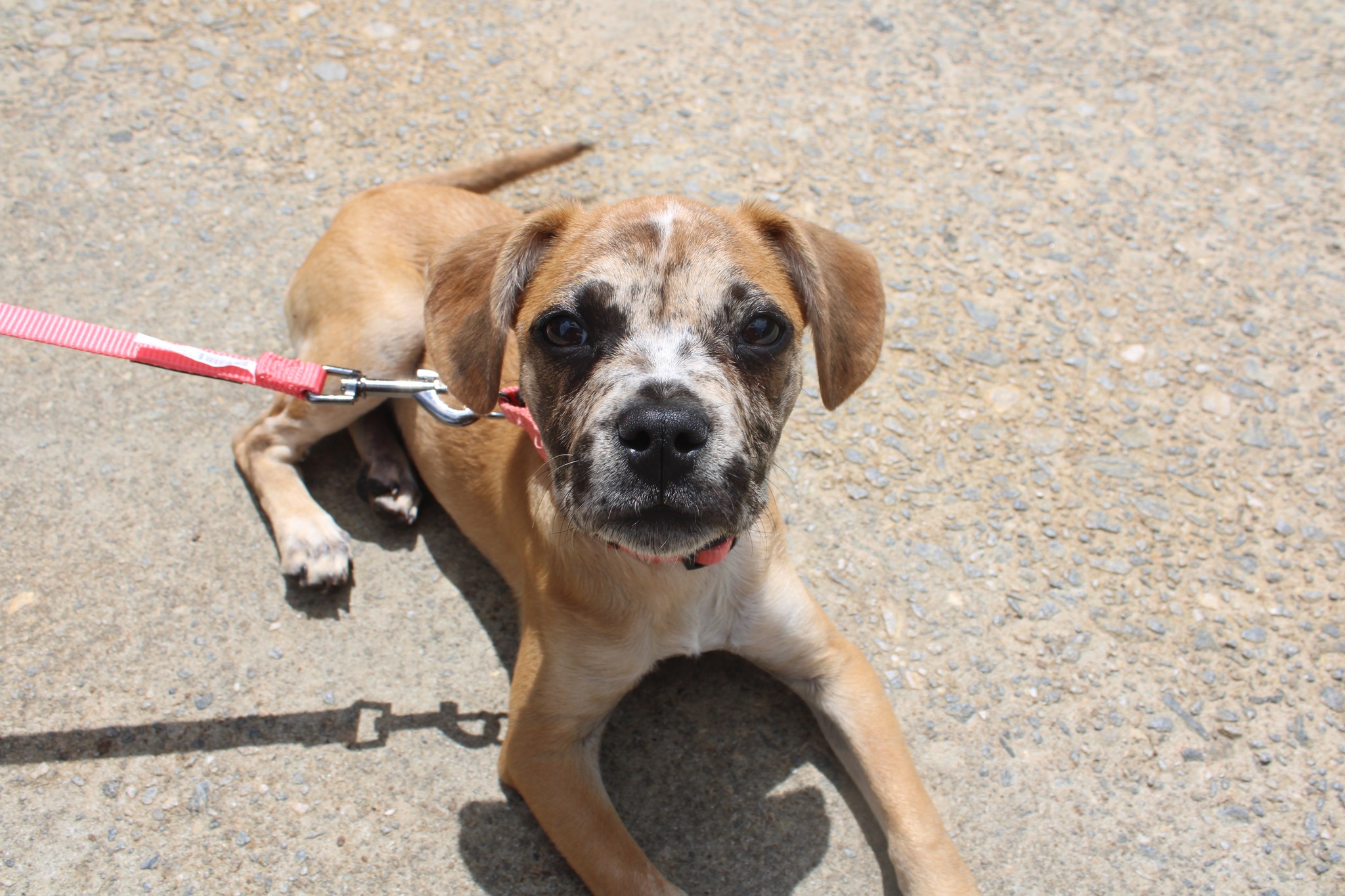 494363644_1262524052540050_4856556162801910466_n